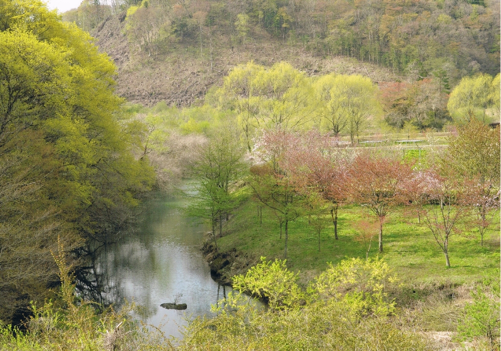 スクール @The GOSPEL CAFEの講師紹介